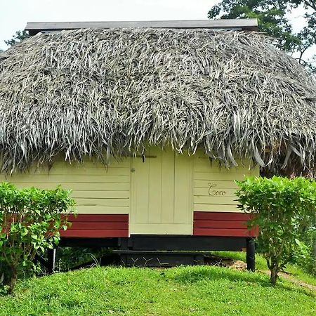 Nathylodge Бокас Екстер'єр фото